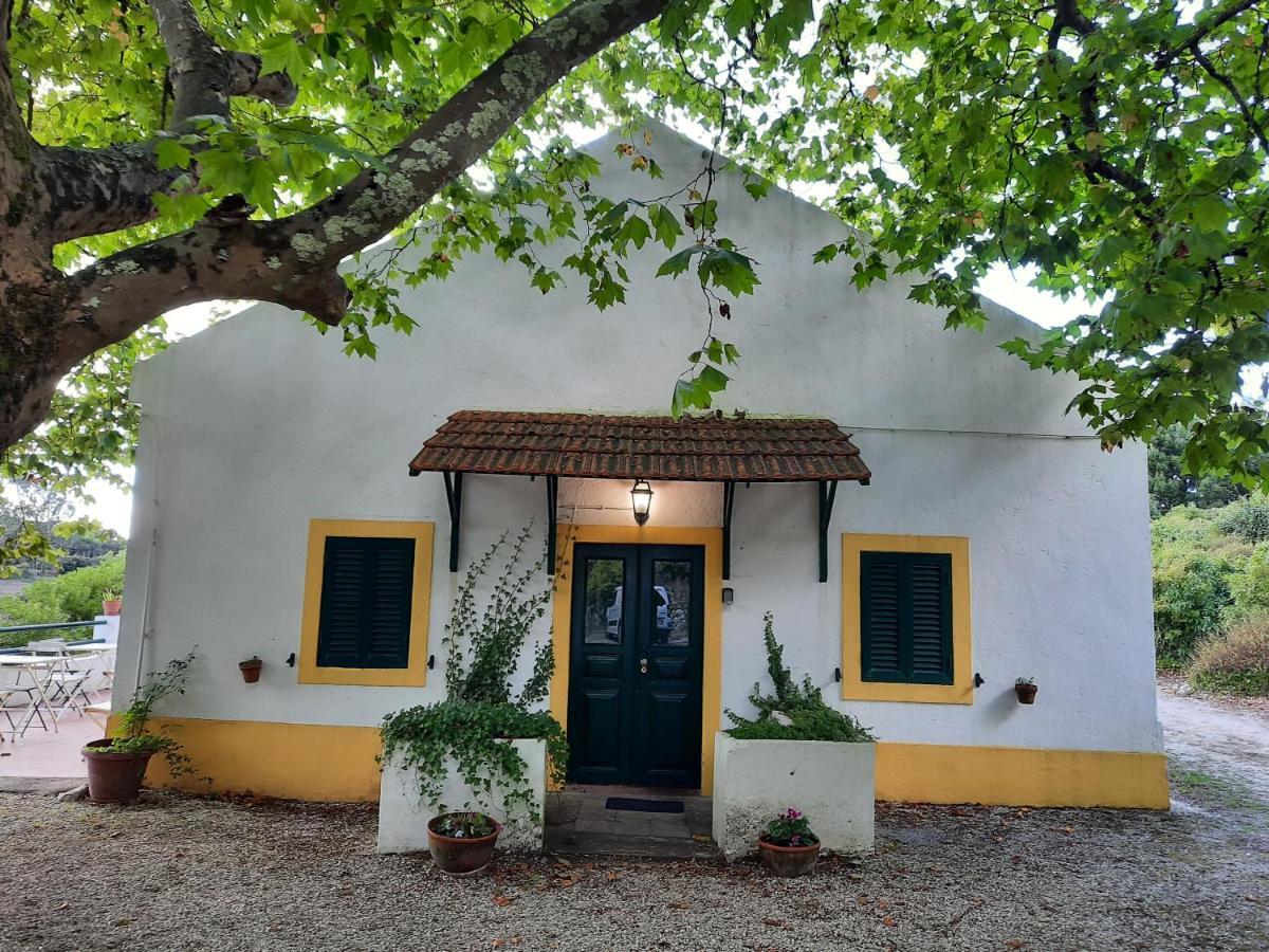 Cadaval Montejunto Villas - Casa Do Platano מראה חיצוני תמונה