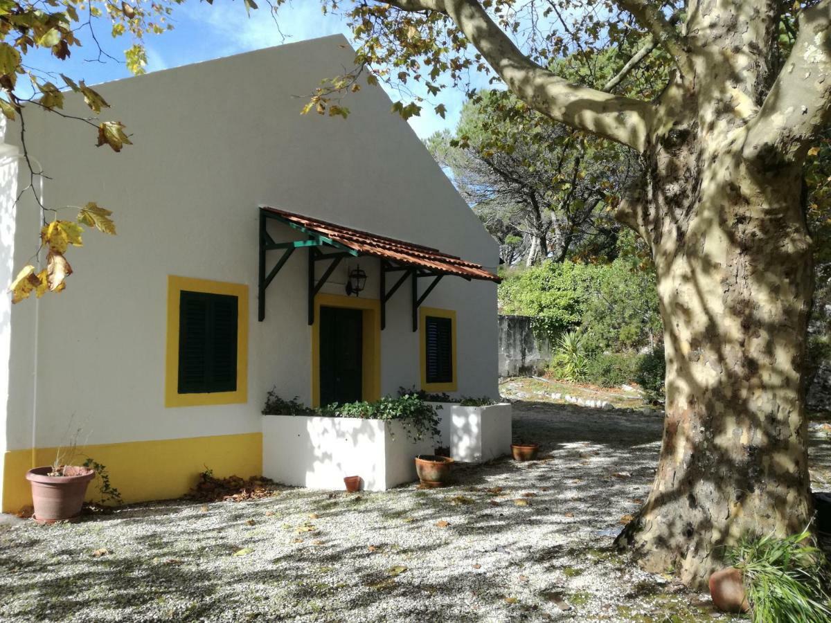 Cadaval Montejunto Villas - Casa Do Platano מראה חיצוני תמונה