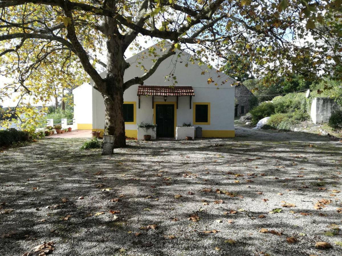 Cadaval Montejunto Villas - Casa Do Platano מראה חיצוני תמונה