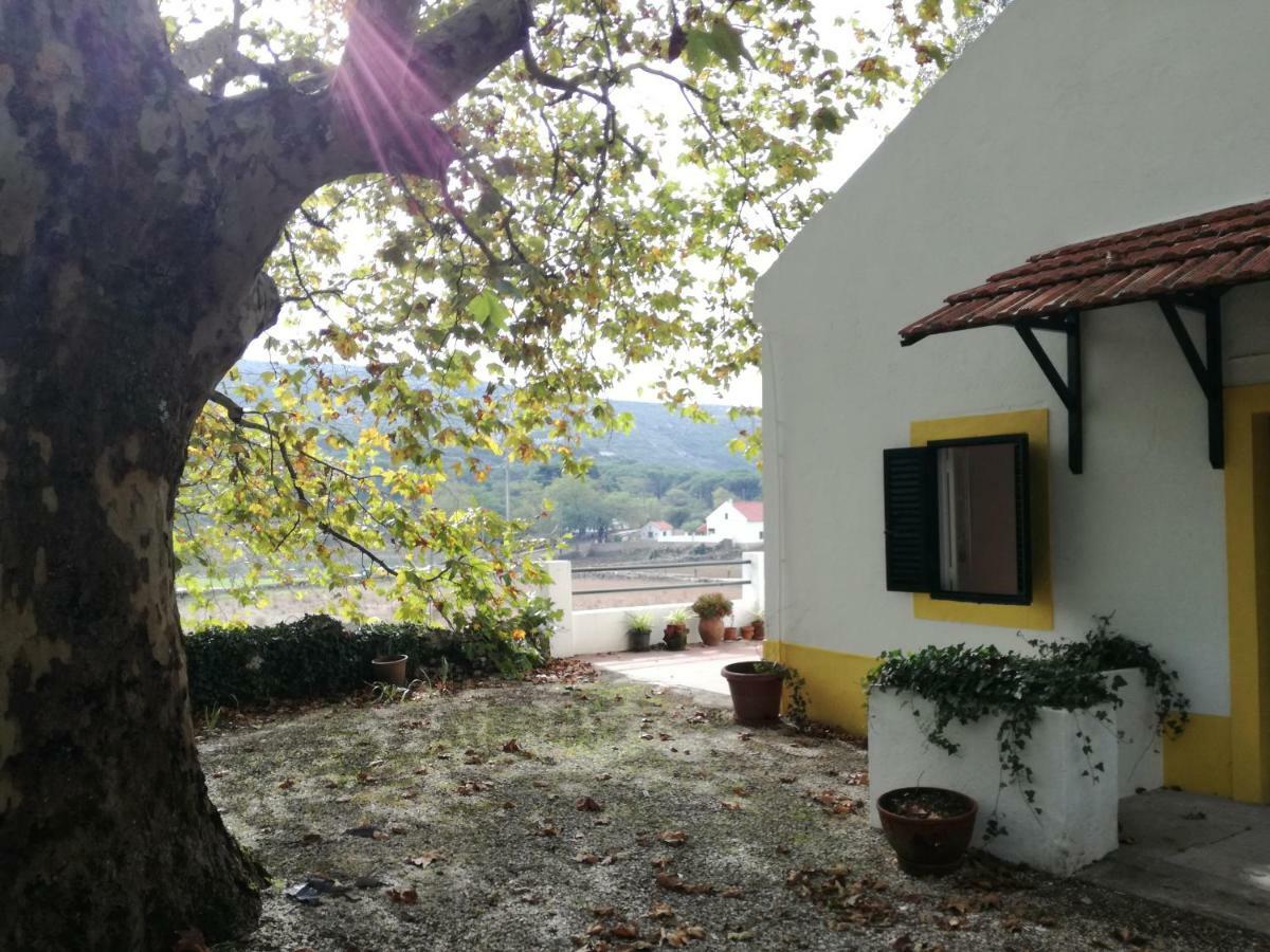 Cadaval Montejunto Villas - Casa Do Platano מראה חיצוני תמונה